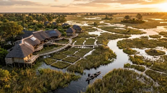 Eco-certified safari lodge harmoniously integrated into the Okavango Delta wetlands