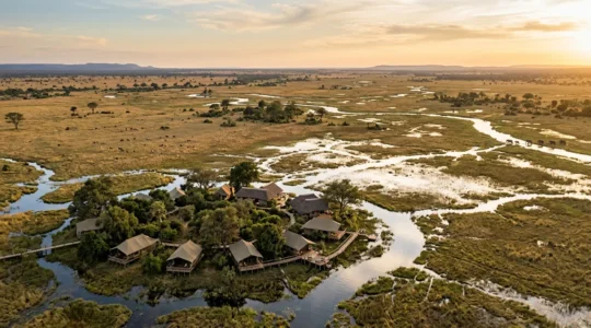 Aerial view of an exclusive safari camp nestled in the Okavango Delta at golden hour