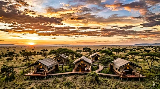 Elegant safari tented camp at golden hour in the African wilderness with acacia trees silhouetted against amber sky