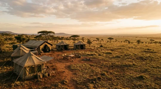 Mobile safari camp with traditional canvas tents set up in African wilderness at golden hour