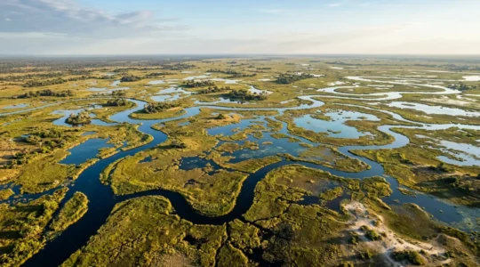 Aerial view of the Okavango Delta showing intricate networks of channels and lagoons