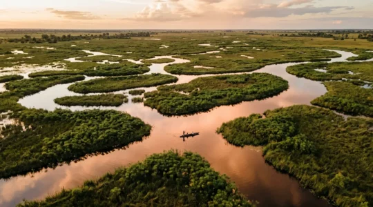 Aerial view of Okavango Delta waterways with perfect mirror reflections at golden hour