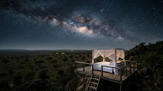 Luxurious star bed platform overlooking African savanna under starlit sky