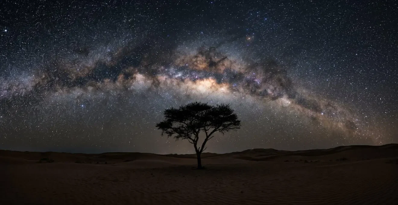 Milky Way galaxy stretching across Kalahari desert night sky with silhouetted acacia tree