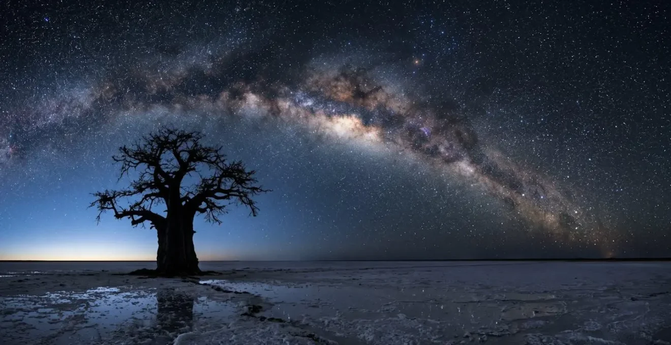 Vast Milky Way arching over ancient baobab tree in Makgadikgadi salt pans