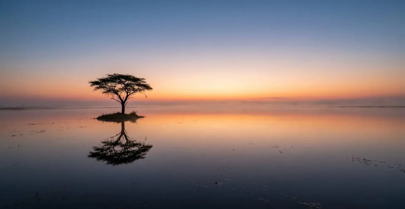 Flooded Okavango plains creating an infinity pool effect with a lone acacia tree